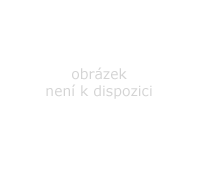 AKCE 10% NA VŠE